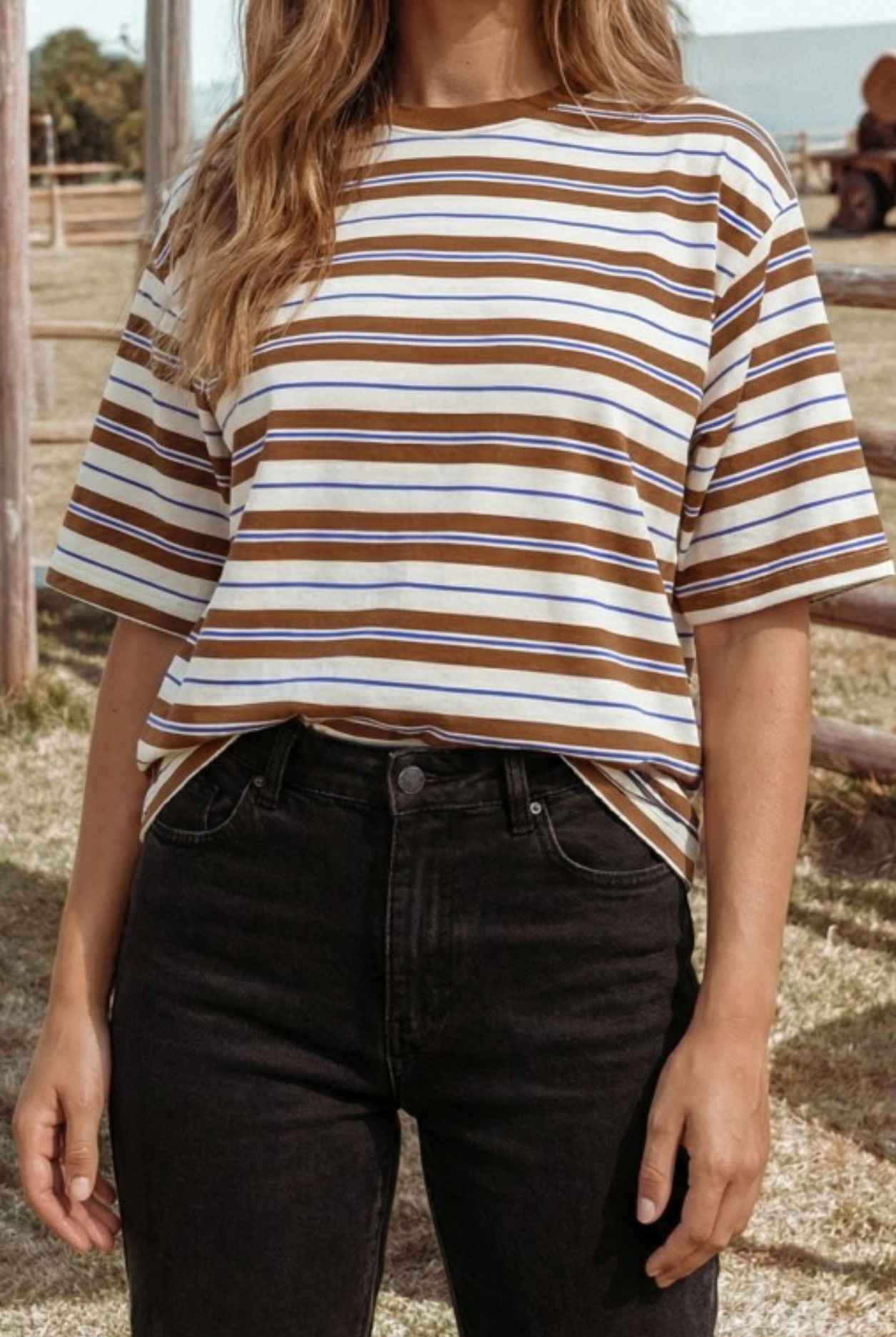 Brown & Blue Striped Tee